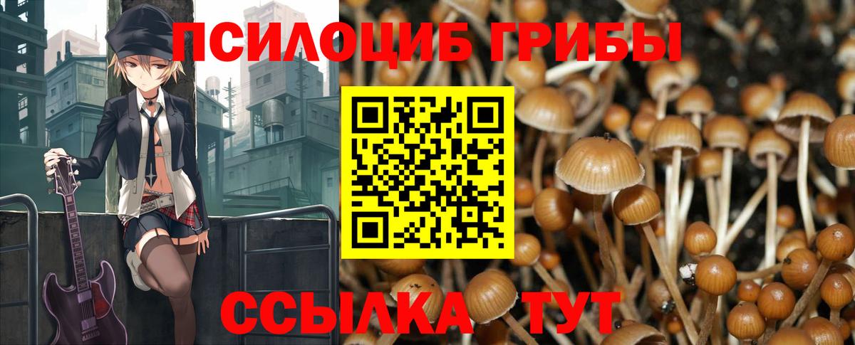 Ейск  Псилоцибиновые грибы Cubensis  Вход с VPN 